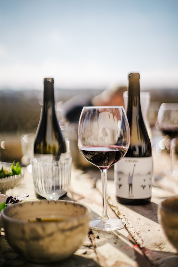 Meditaste – 5 Wines